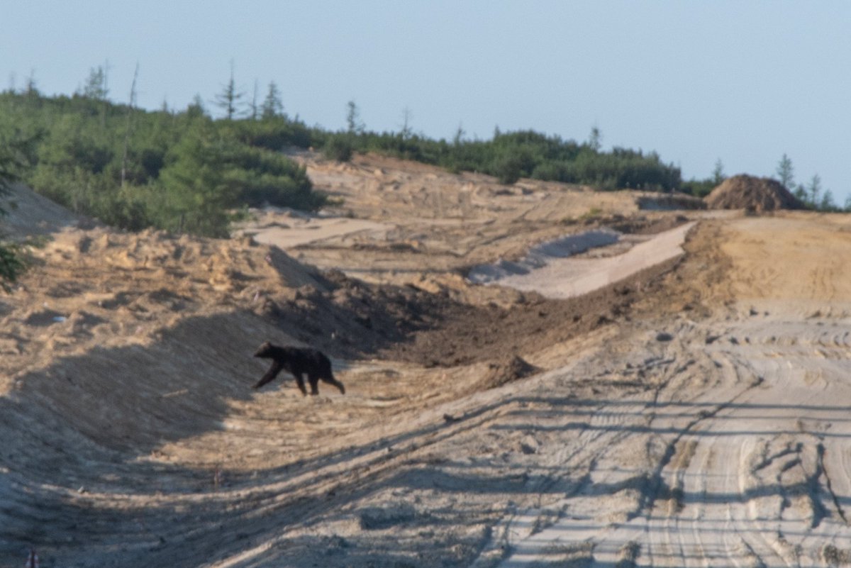 ファナティック遠藤 tweet media