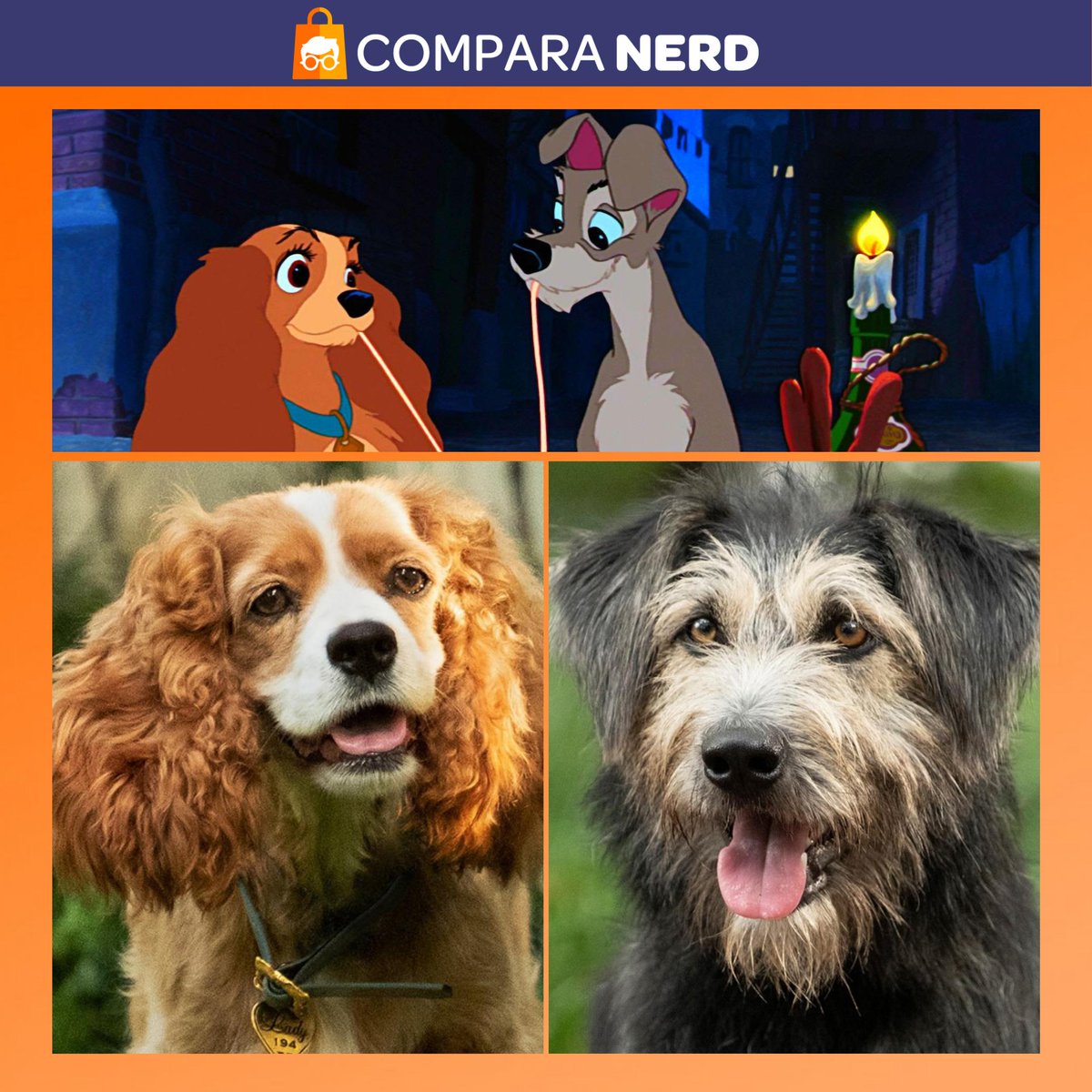 ComparaNerd's tweet photo. A #Disney realmente não está para brincadeira com os nossos corações. A revista #people divulgou as primeiras imagens dos doguinhos de verdade que farão o #liveaction de A Dama e o Vagabundo um dos clássicos mais adoráveis da Disney. Veja mais: https://t.co/eIG7v0cZJX #geek #nerd https://t.co/rey7UpLQfi