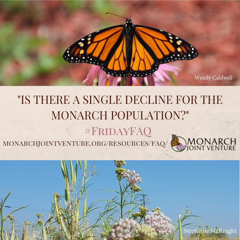 MonarchsJV's tweet photo. Its your #FridayFAQ!!! Find out more about the #monarchdecline at https://t.co/Glo3Vd5Uc0
Photos by Wendy Caldwell and Stephanie McKnight! https://t.co/SPrm6ladYz