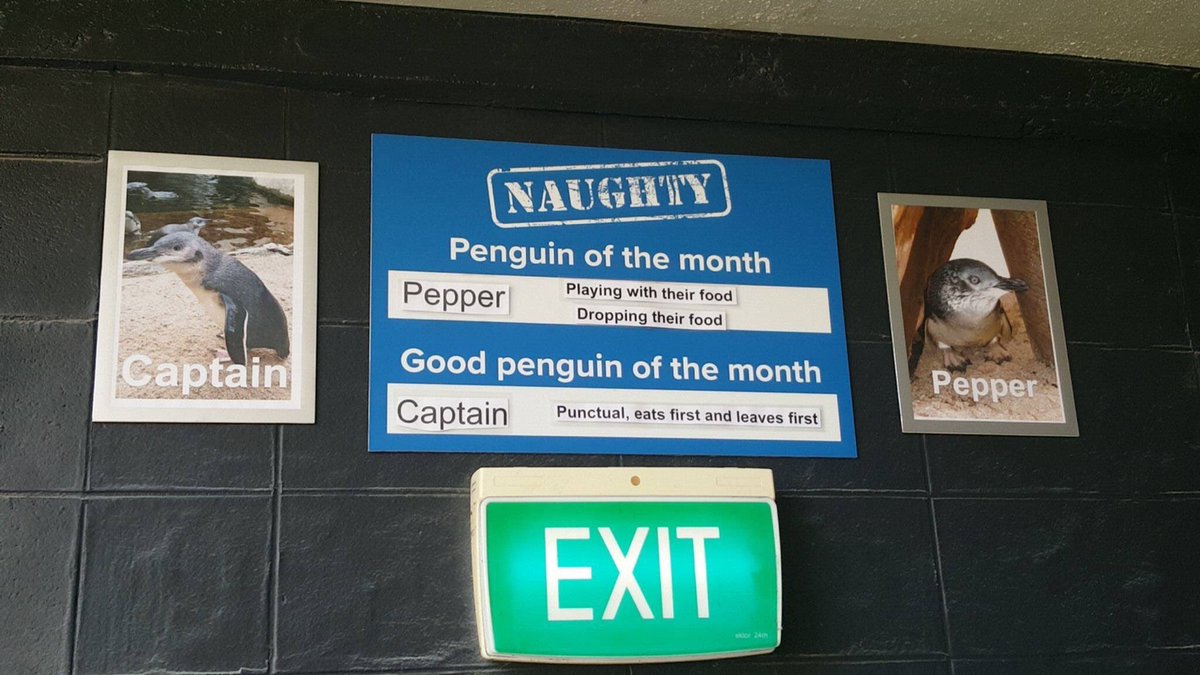 emmadaton's tweet photo. I enjoyed the naughty penguin of the month post so much i found every good and bad penguin from 2017 onwards, a thread: https://t.co/OlrqM8C7Yb