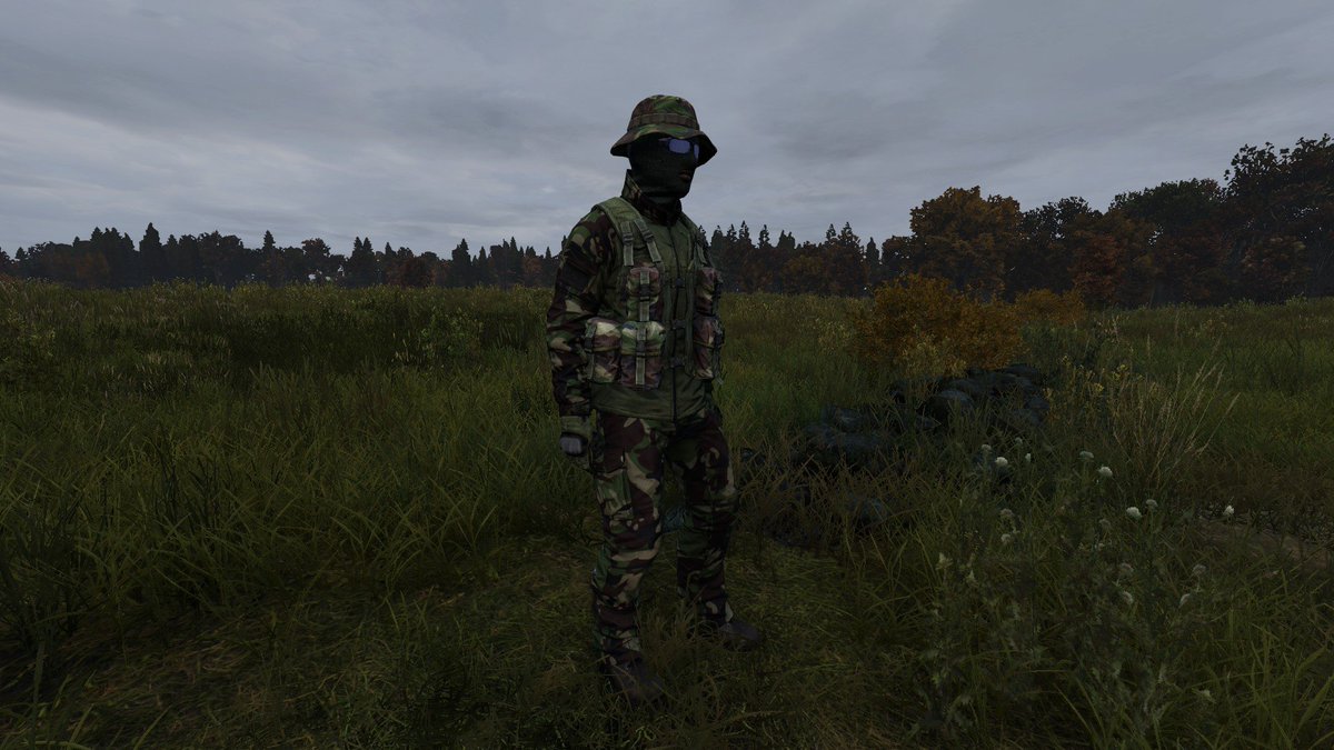More recently I decided to complete some existing camouflage in @DayZ