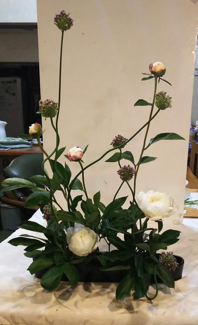 Yu__Fu_'s tweet photo. 私が過去に生けたものも載せたいと思います！

この投稿と、リプ欄に続けていきます٩(ˊωˋ*)و

華道は私が小学4年生の頃からやっていて、10年目になりました
そして今年、四級ではありますが師範も取得することが出来ました☺️

画像はケータイを持った高校生のものからしかありません
ごめんなさい！ https://t.co/X9ZsbAiwlC
