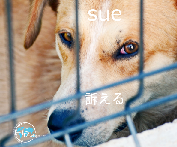 DevelopmentLs's tweet photo. #英単語 #英語の例文
#訴える

I will #sue him for insulting me.
私は彼を私への侮辱で訴えます。
https://t.co/qdRXXpSpni🇬🇧
#英会話教室 #英会話スクール #オンライン英会話 #英会話 #大人の勉強垢  #英単語帳 #勉強垢 #英語垢 #英語勉強垢 
※英単語は複数の意味を持つことがありこれは一例です。 https://t.co/mLbBxLWt2V
