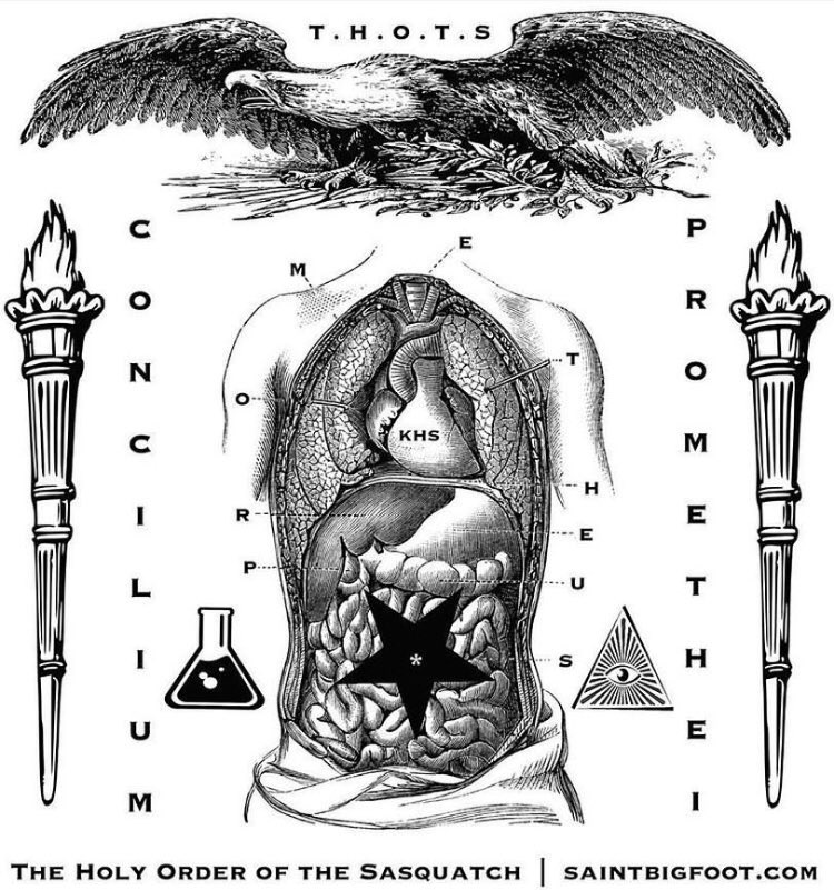 SaintBigfoot's tweet photo. When the Great #Regression casts its shadow of #incorrection, we convene the Council of #Prometheus to fight the darkness! #CherishYourFigments #wildhypotheses #becomeyourimaginaryself #holyorderofthesasquatch #saintbigfoot https://t.co/xVHufWr972
