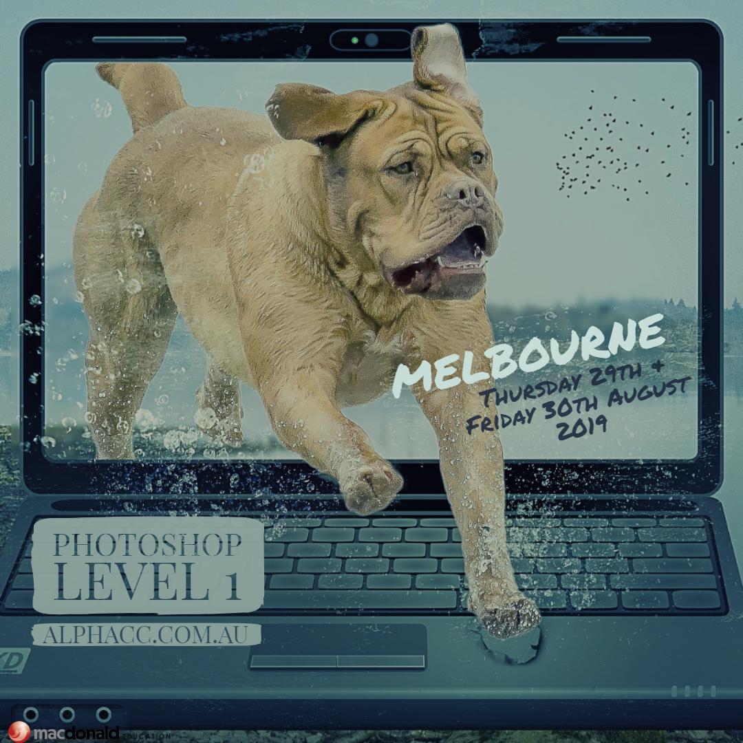 Alpha_CC's tweet photo. Make sure you're covered when it comes to Photoshop basics! Book in for our Photoshop Level 1 class in Melbourne on Thursday 29th &amp; Friday 30th August 2019 and let your new-found skills shine ✨💻 Contact us for more information or to book | sales@alphacc.com.au https://t.co/kHuSI0P3Yc