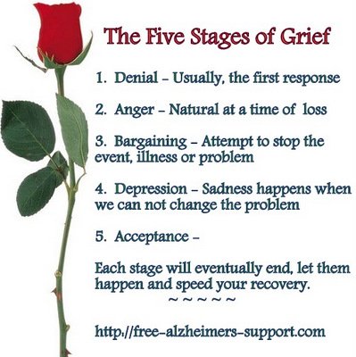 SandyAlz's tweet image. Mom's Mirror Image Collides with Self Recognition...   goo.gl/PhGRn3