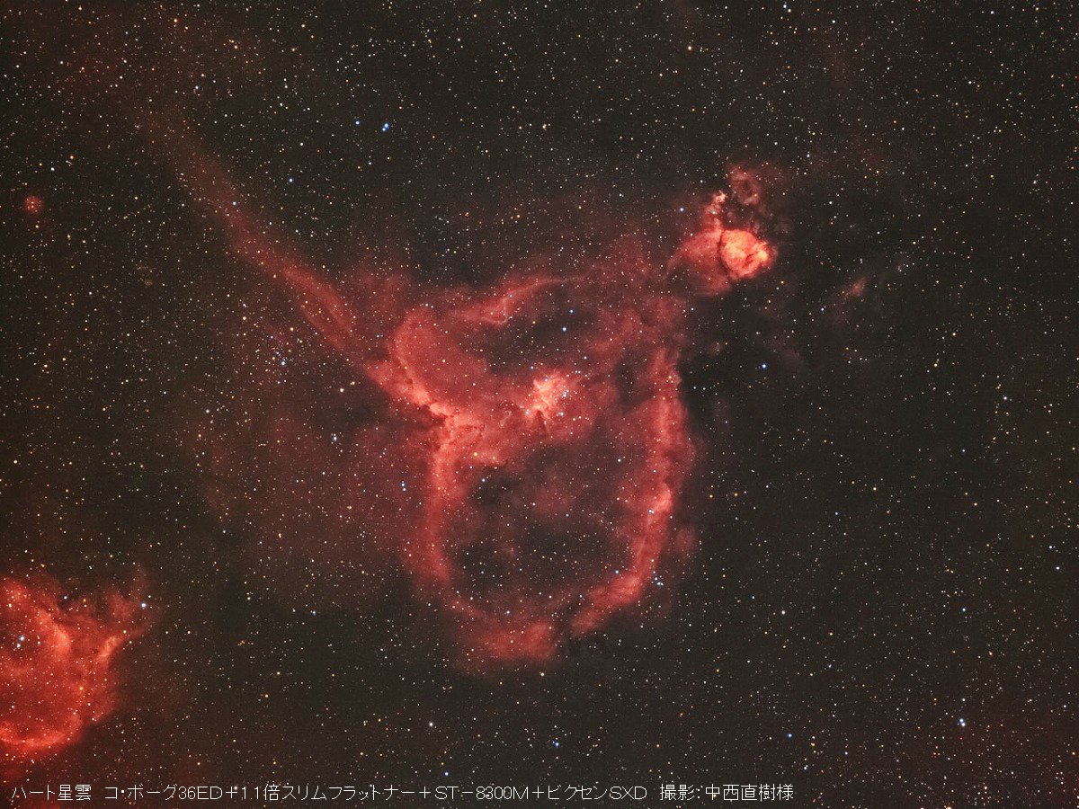 tomytec_borg's tweet photo. 本日8/10は
#ハートの日 #鳩の日
同じ小型望遠鏡 #36ED で撮影した
ハート星雲と鳩です!
#BORG https://t.co/wwpkdlZO4J