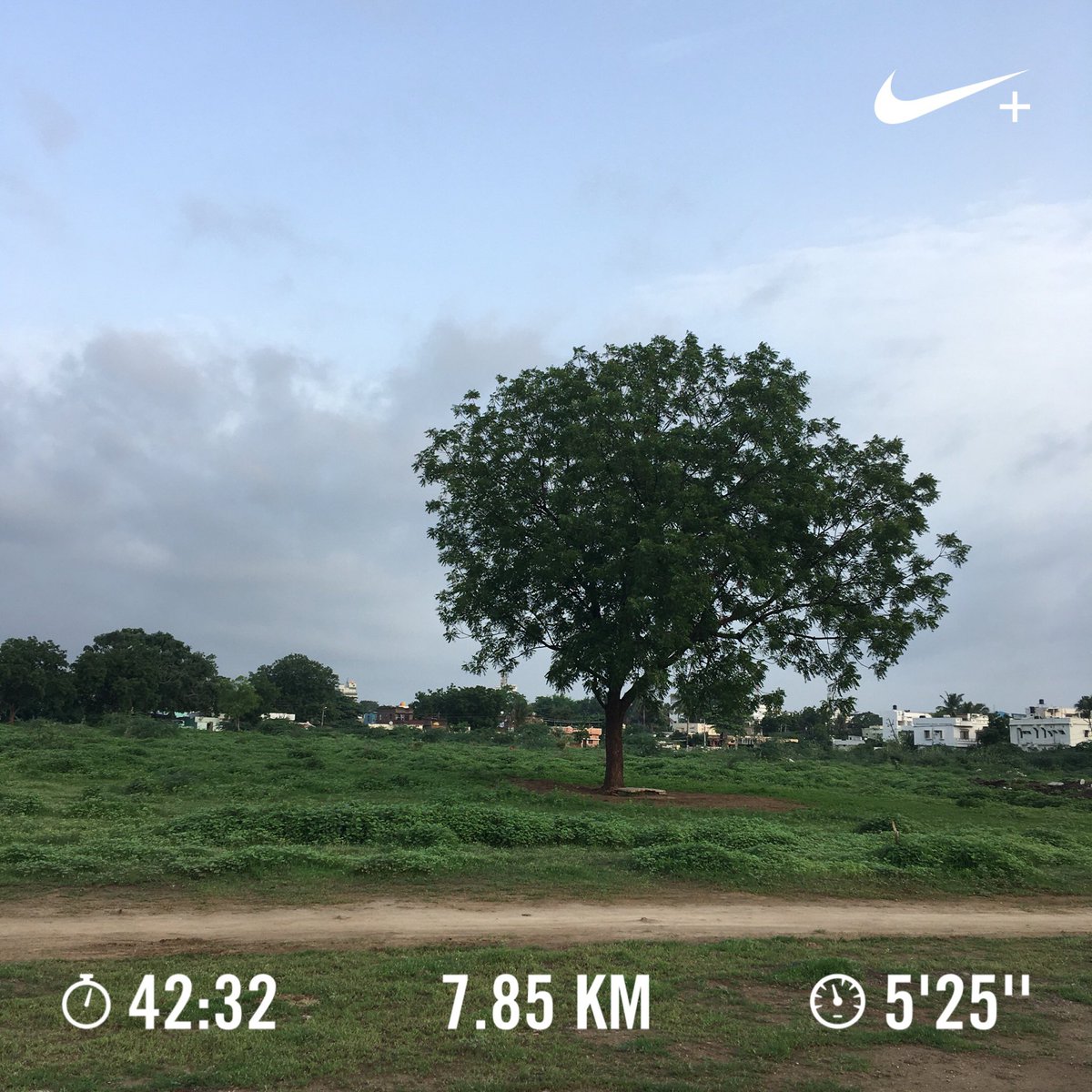 Nithin's tweet photo. 6:33 AM: Just a run to get back in the grove. Again, focusing on softer landing.

#Runners360 #marathontraining #neverjustarun #nike #pegasusturbo2 #nikeplus #nikerunning #nikerunclub #werun2019 #werunkalaburagi #nature #nofilter https://t.co/oYCjfifl3n
