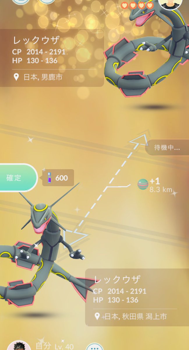 ゴマゾウくん 出発前に黒龍キラ交換できました キラ交換 ポケモンgo T Co Esbwkch0sm Twitter