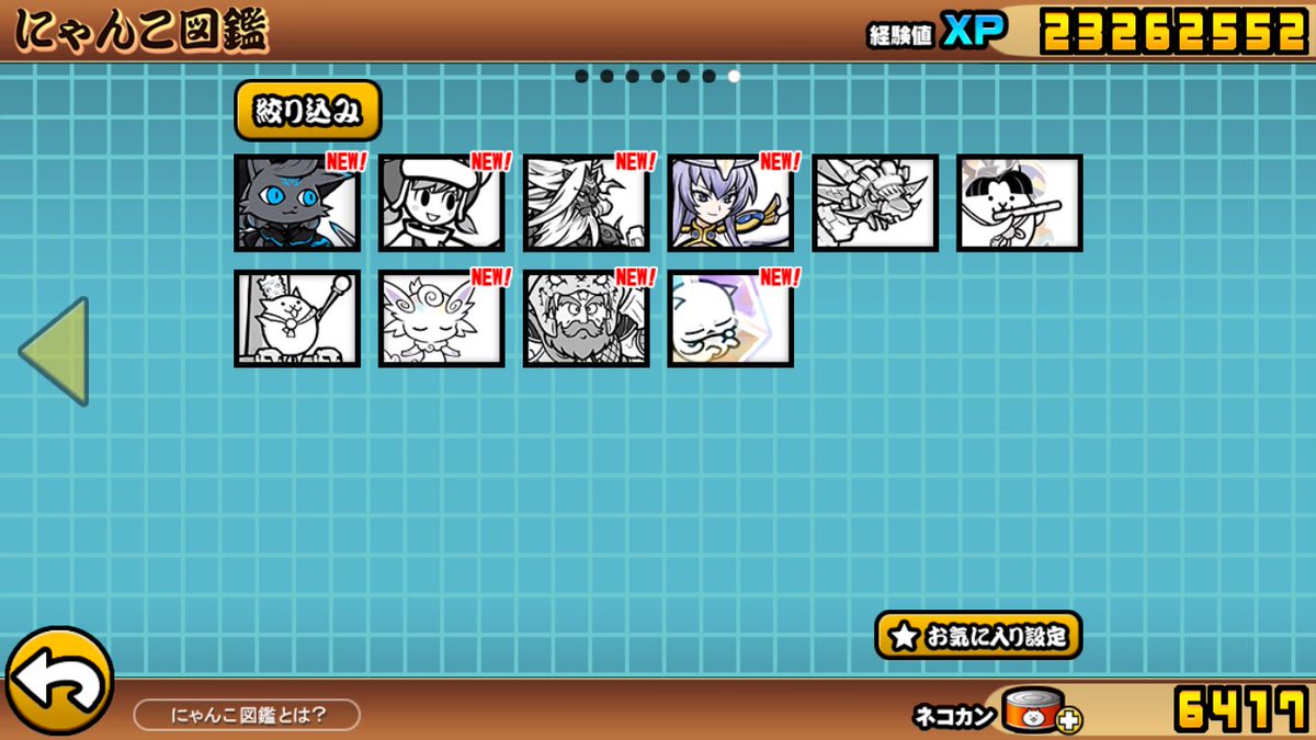 にゃんこ垢