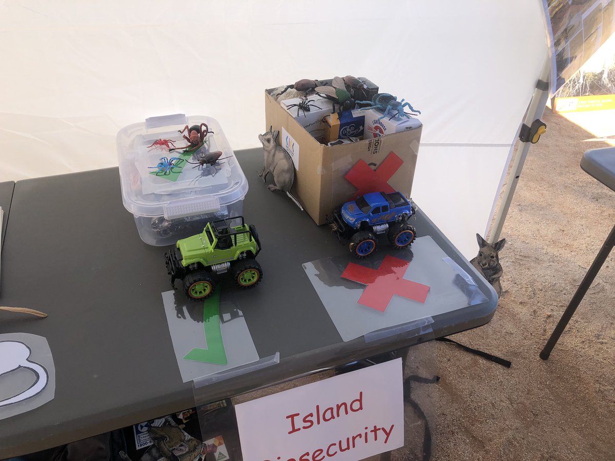 J_Stingemore's tweet photo. Head to the @WAParksWildlife stand at the @BushHeritageAus #HamelinScienceFair and learn all about island biosecurity and Return to 1616 https://t.co/8ydBGDdGei