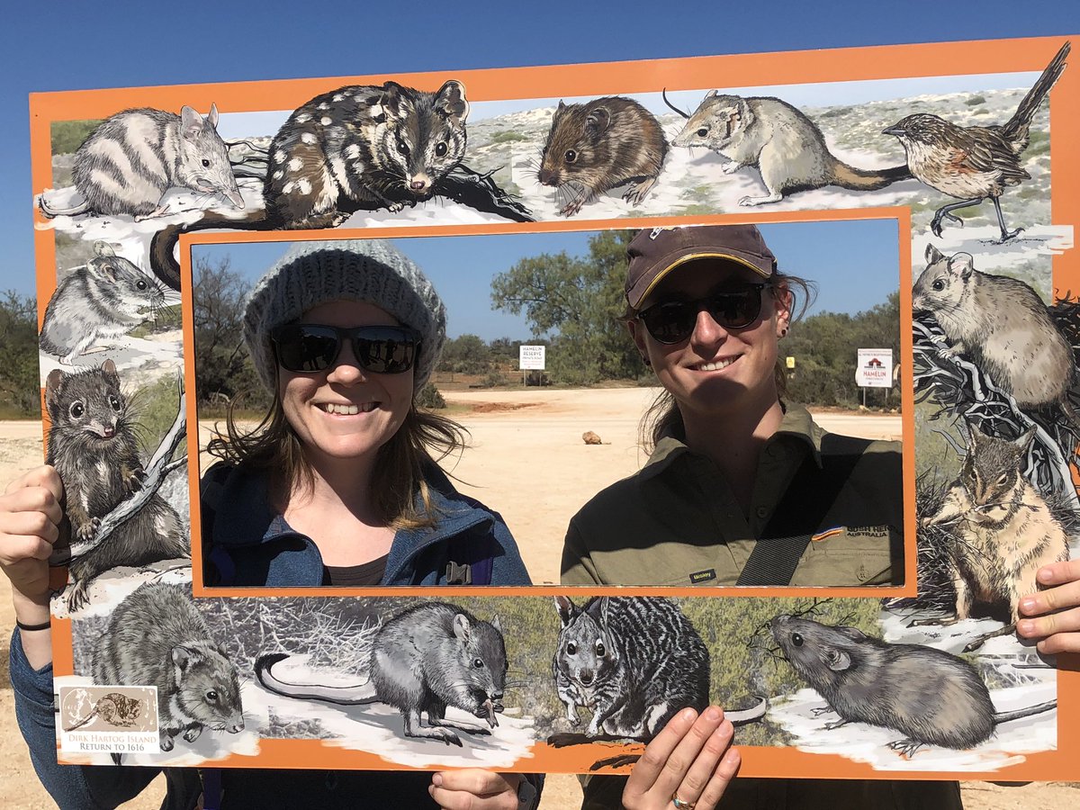 J_Stingemore's tweet photo. Head to the @WAParksWildlife stand at the @BushHeritageAus #HamelinScienceFair and learn all about island biosecurity and Return to 1616 https://t.co/8ydBGDdGei