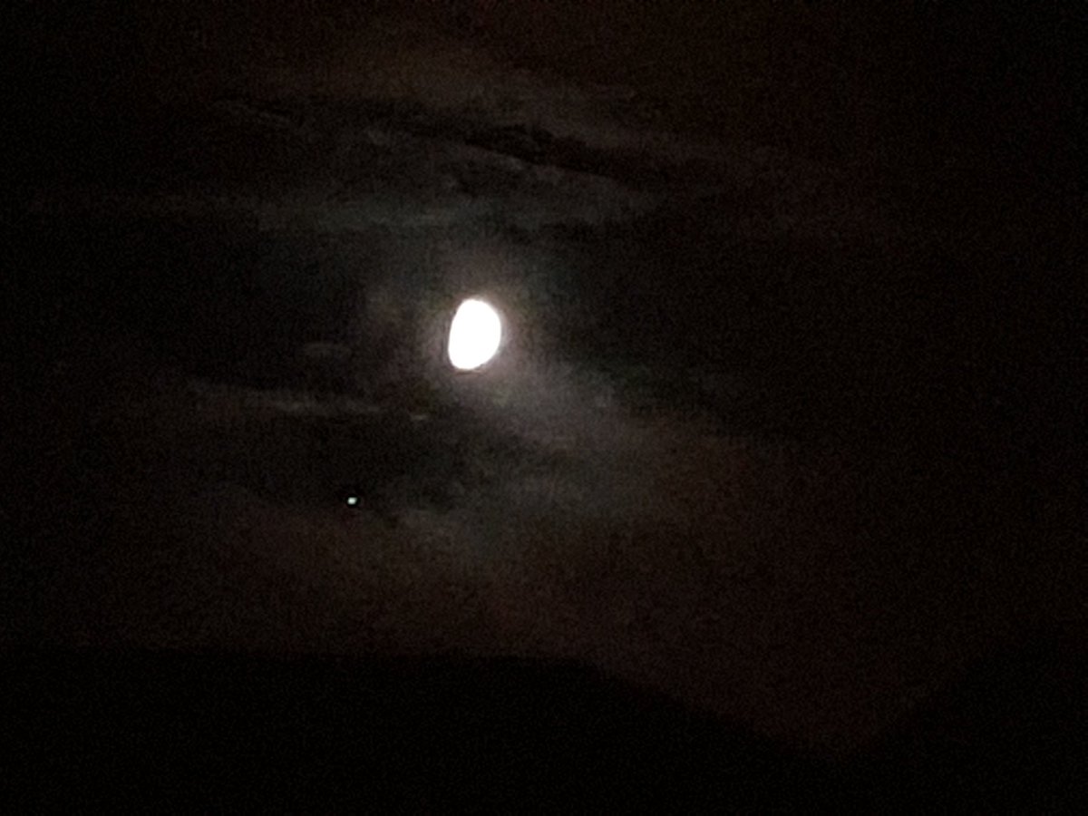 Just read about Jupiter passing by and should look like it's near the moon. Got my chance to see even without some pictures I took