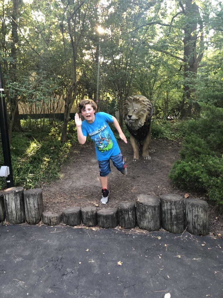 AmyBlevins's tweet photo. We had a little fun with a lion... @KingsDominionVA @MaggieSellersPR #twins #twinmom #momlife #momwin #Kingsdominion #amazinglookslike #hosted https://t.co/mTOC54RU6V