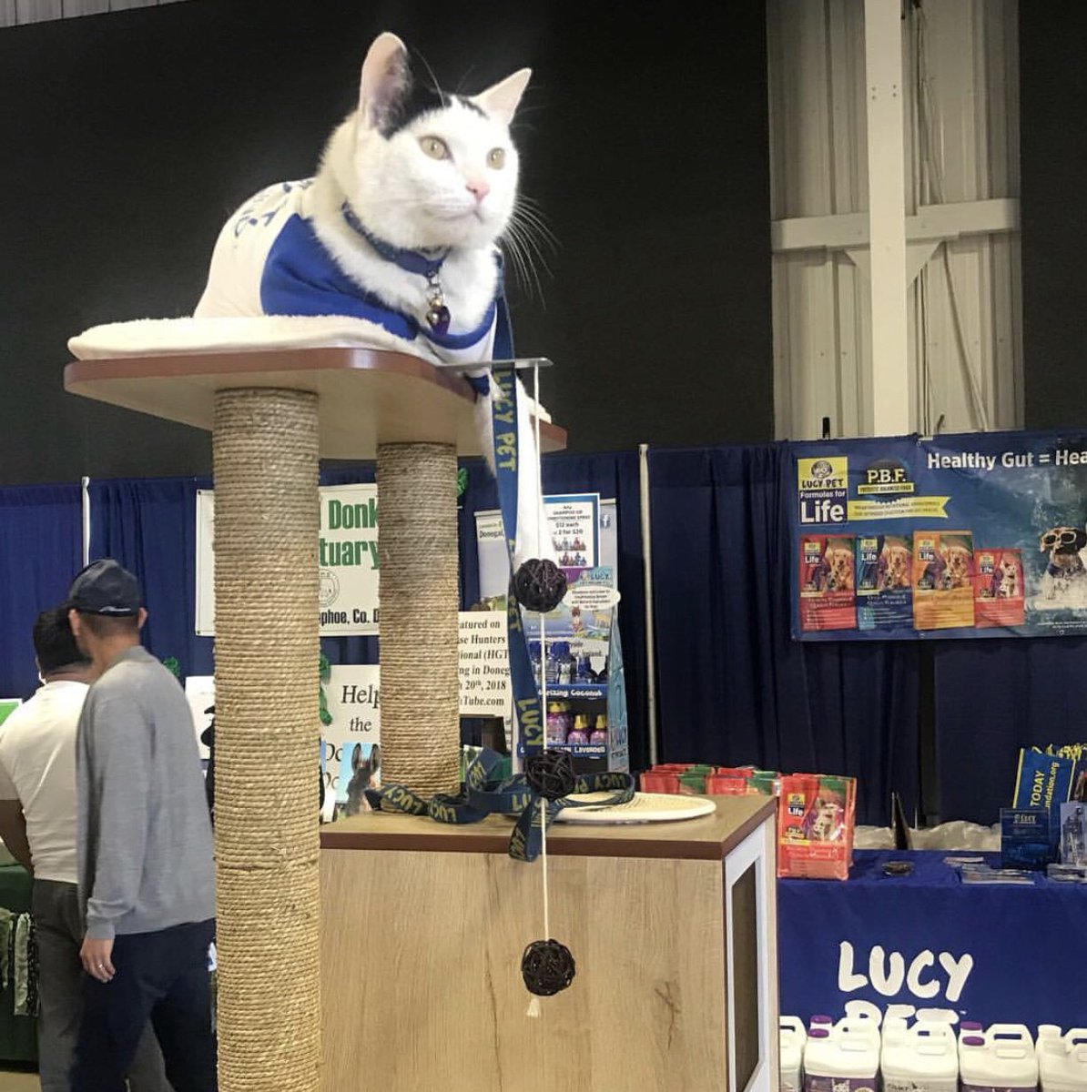 I can see the weekend from where I’m sitting, and it looks like a good one! #TGIF