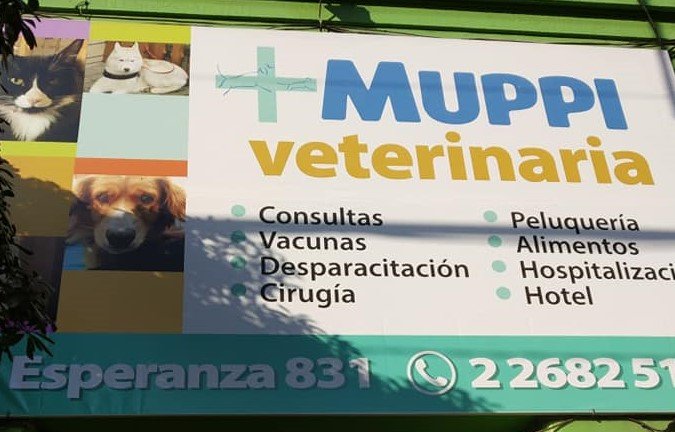 eltuitdemarsh's tweet photo. "Quiero hacer una denuncia con el corazón destrozado. Hoy llevé a Toby a esterilizar y me la entregaron muerta. Ayúdenme a funar a estos negligentes para que a nadie más le ocurra. Toby estaba sana! Esta es la veterinaria y la que la operó se llama Liliana Sarmiento." Favor RT! https://t.co/4sLIqGDrNw