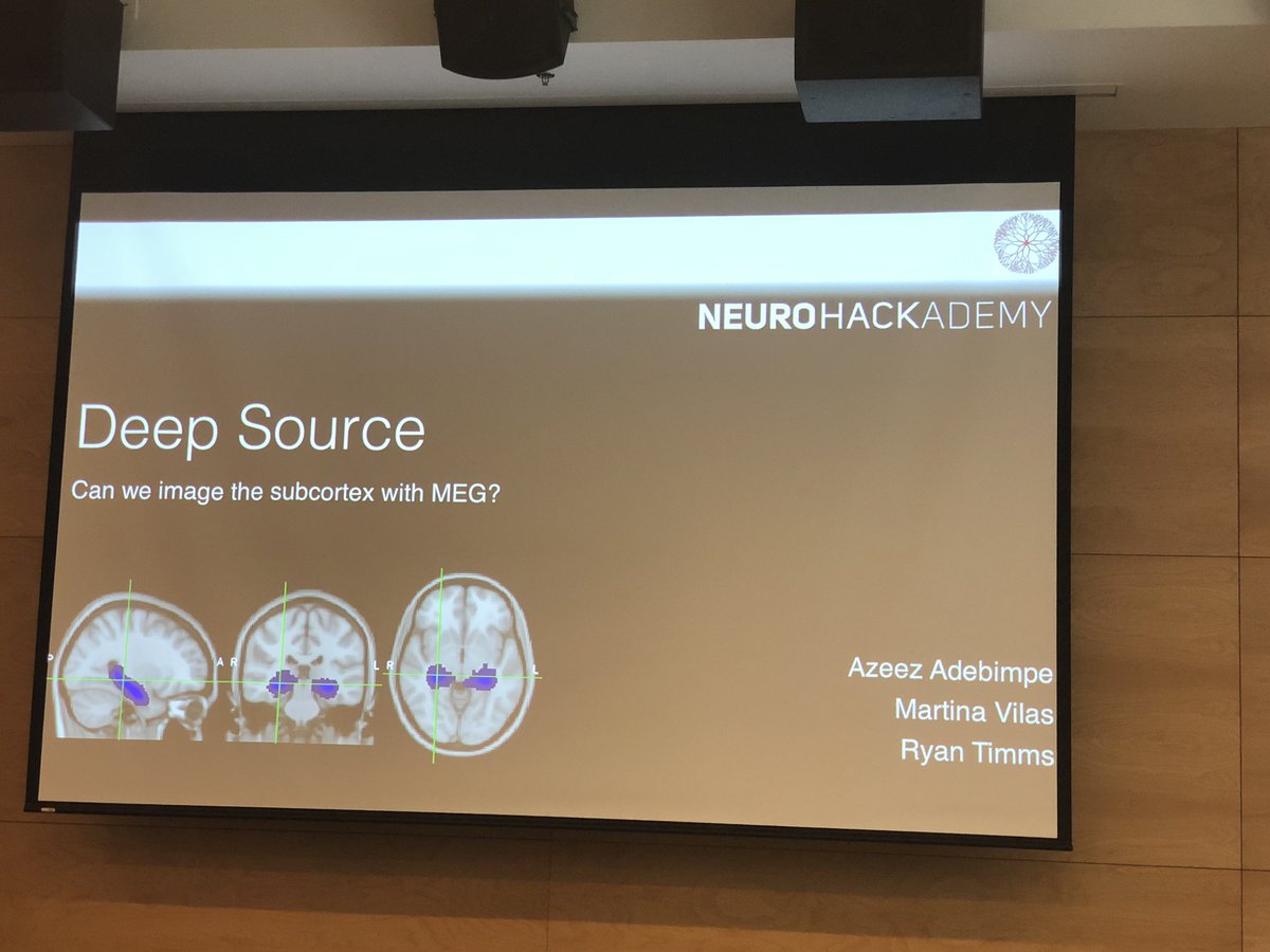 kirstie_j's tweet photo. Team #DeepSource didn’t do any deep learning - they were interested in the deep subcortical structures!! The hippocampus is very hard to image with EEG, but maybe MEG would work AND give good temporal resolution (unlike fMRI) #NeuroHack19 https://t.co/WJhUEH5WsI