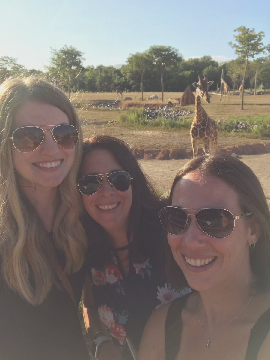 techiewithit's tweet photo. We’re hanging out with some new friends tonight! 🦒 #Zoolentangy https://t.co/UeFeM398PF
