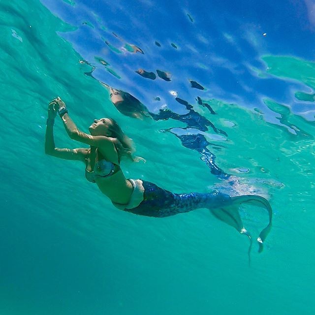 MermaidKariel's tweet photo. Let's play mermaids. #mermaid #underwater #mermaidmagic #northshore https://t.co/LTcE7glHu3 https://t.co/zO2n1BnjUC