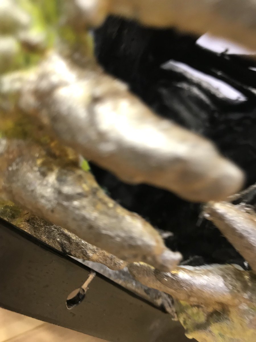 OzConUK1's tweet photo. Quick last minute tease with some pics for this weekends @OzConUK1 #OzConUK2019 https://t.co/e6oPzJ0OLv