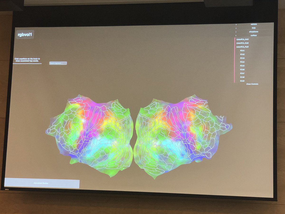 kirstie_j's tweet photo. How beautiful are these brains!! Linking up PyCortex with @neurosynth to see the terms associated with particular regions! #NeuroHack19 https://t.co/f3O9UaQPLR