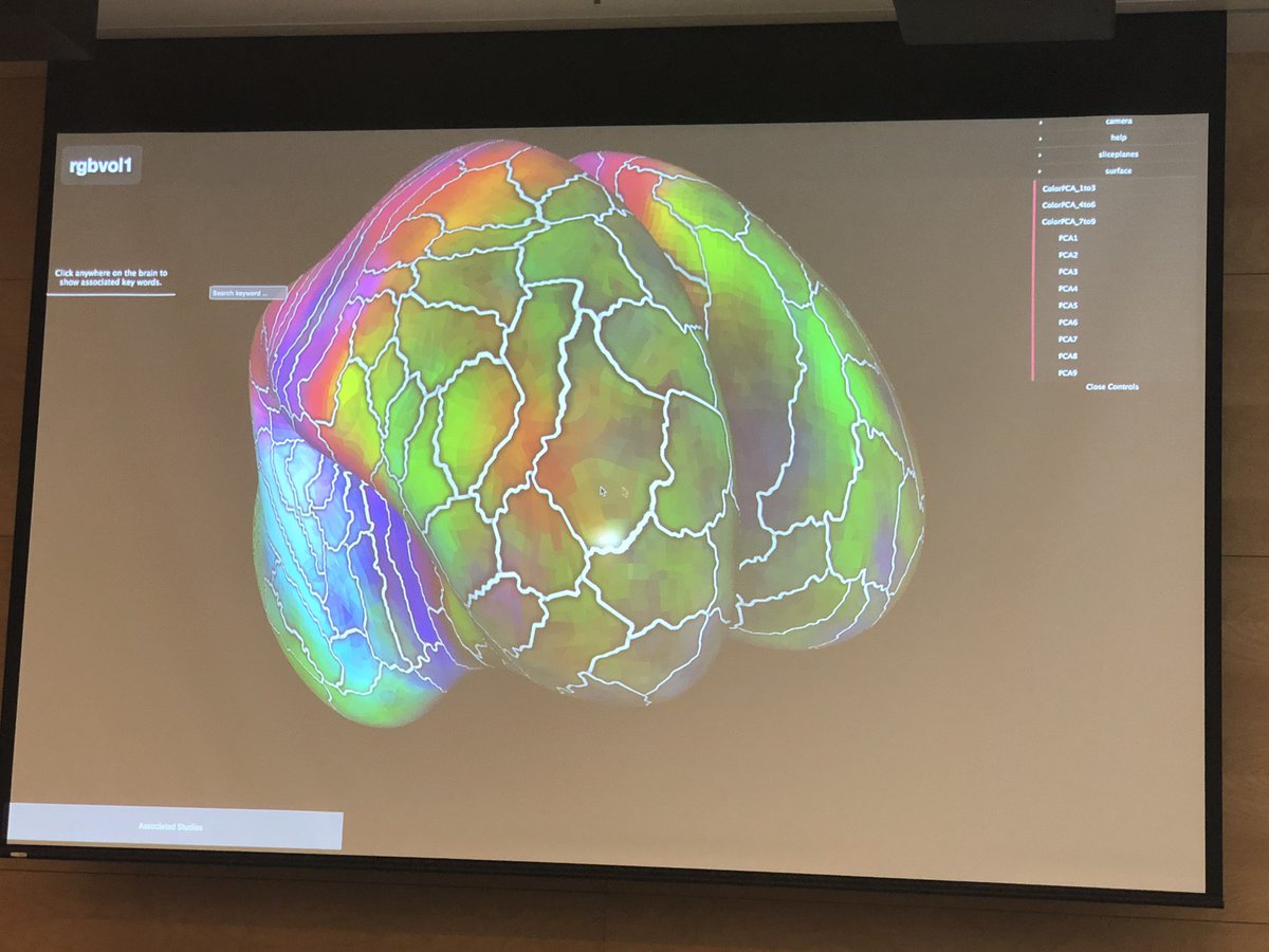 kirstie_j's tweet photo. How beautiful are these brains!! Linking up PyCortex with @neurosynth to see the terms associated with particular regions! #NeuroHack19 https://t.co/f3O9UaQPLR