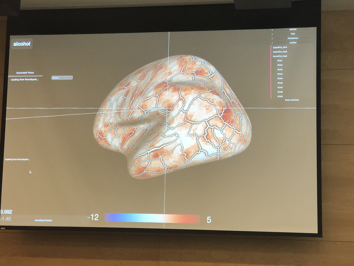 Kirstie Whitaker (@kirstie_j) on Twitter photo How beautiful are these brains!! Linking up PyCortex with <a href="/neurosynth/">Neurosynth</a> to see the terms associated with particular regions! #NeuroHack19 How beautiful are these brains!! Linking up PyCortex with <a href="/neurosynth/">Neurosynth</a> to see the terms associated with particular regions! #NeuroHack19