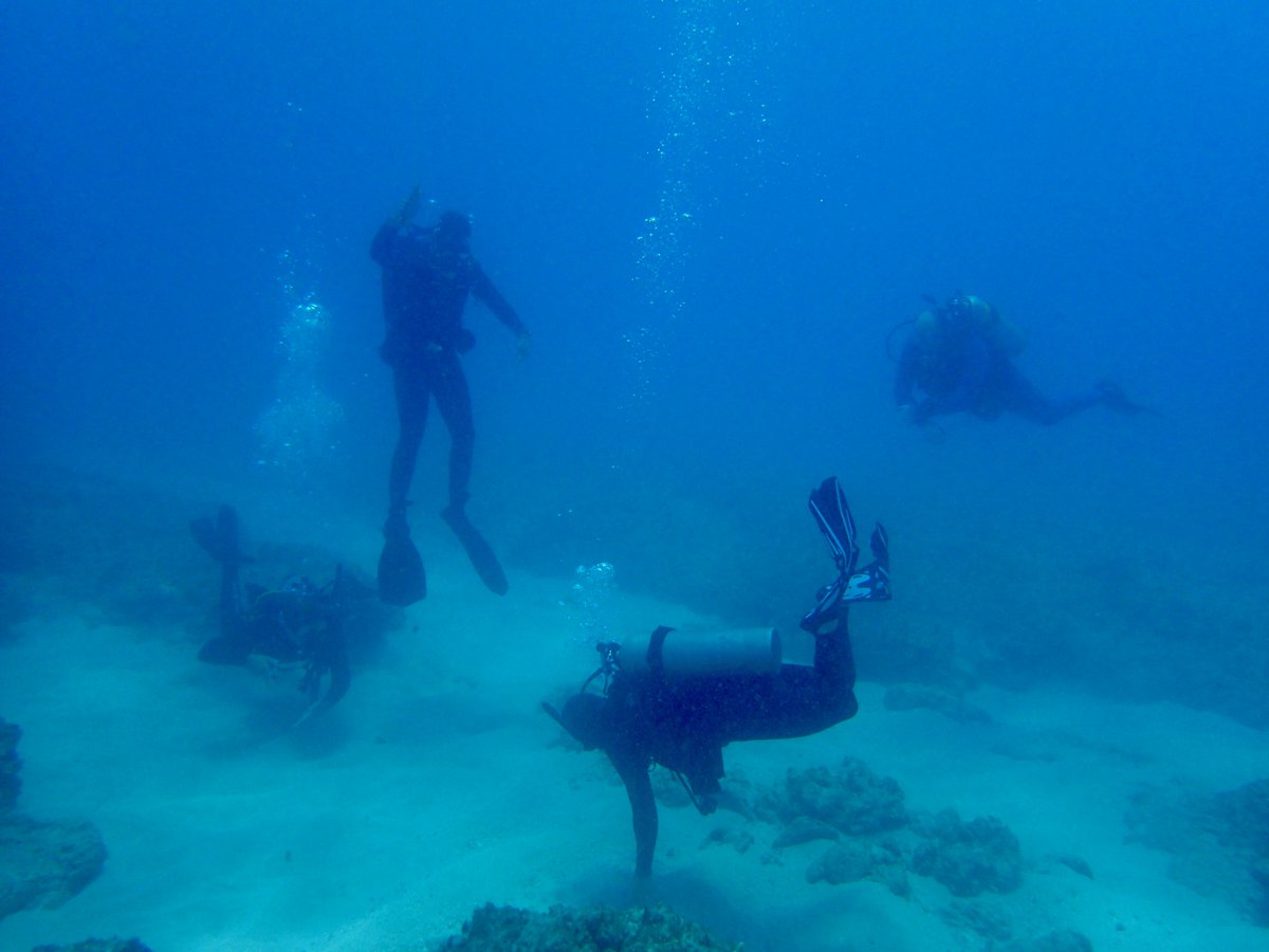We had a beautiful day while scouting for potential coral nursery and restoration sites in <a href="/MaunaluaBay/">Friends of Maunalua </a> with <a href="/NOAA/">NOAA</a>, <a href="/dlnr/">DLNR</a>  and <a href="/MalamaMaunalua/">Malama Maunalua</a>! <a href="/NFWFnews/">National Fish and Wildlife Foundation</a>