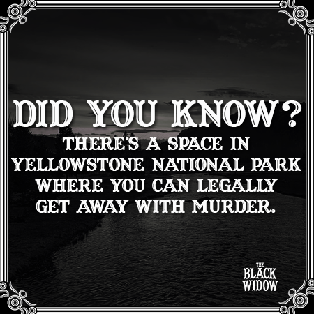 Due to a loophole in the US Constitution, a criminal could theoretically get away with #murder (or any other crime) within a 50-square-mile region in Yellowstone National Park known as the "Zone of Death."

#factfriday #truecrime