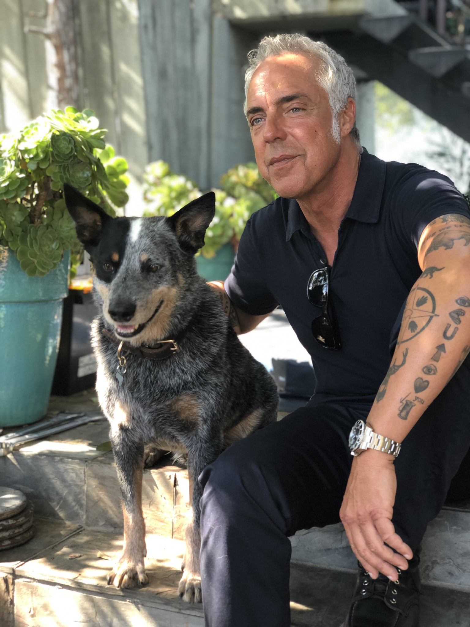 Jo da Kinematik ineffektiv TitusWelliver on Twitter: "Harry and Coltrane reunited. Brodie's first day  back Bosch season 6 https://t.co/Yw1MCi4zAE" / Twitter