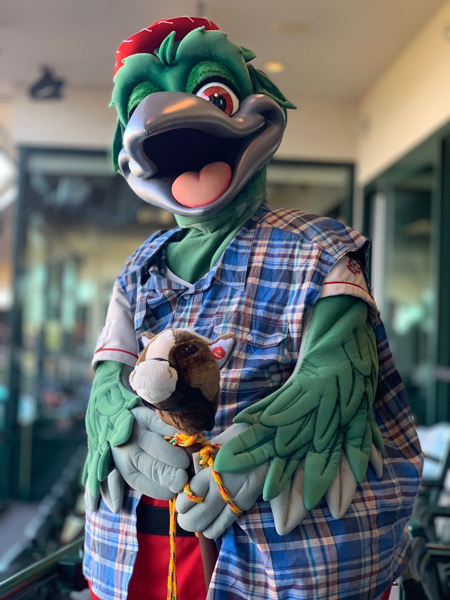 JimFitterling's tweet image. #NestLevelFun #GoLoons  #DiveIn