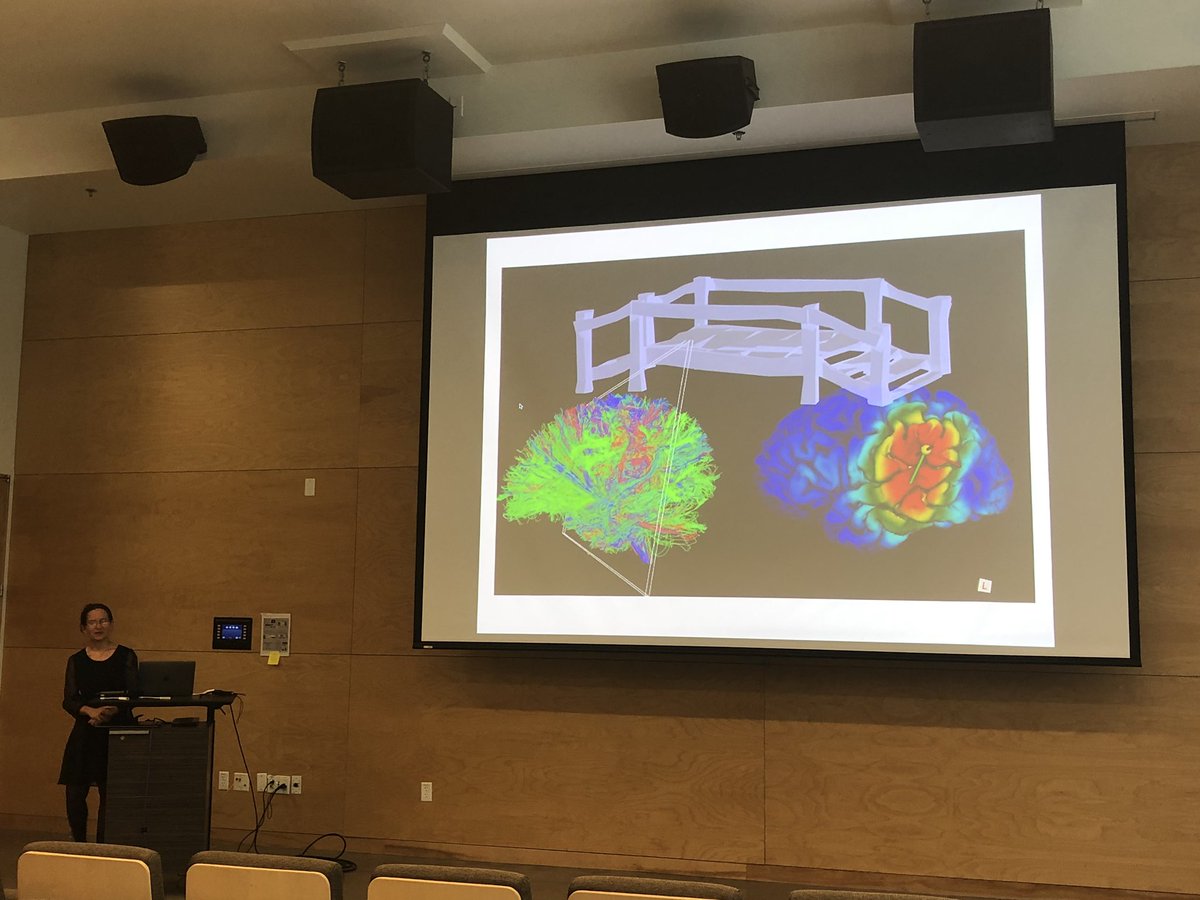 kirstie_j's tweet photo. Last project presentation! Bringing us to the #NeuroHack19 boat trip is Sofya who worked on bridging TMS and DTI data! https://t.co/Omv9SyADQU