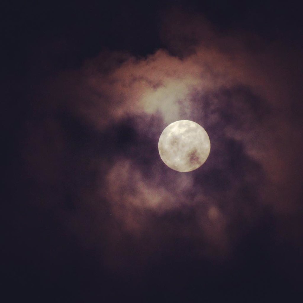 GeoLatinas's tweet photo. (4/5) Yashira says “I enjoy taking pictures of the #Moon, hiking, traveling, and #coffee!! I will be finishing my undergraduate studies in December and I’m looking for a great doctoral program in #PlanetaryScience “ #GeoLatinas #LatinasInPlanetaryScience #DiversityInSTEM https://t.co/sZ4SDkCrYa