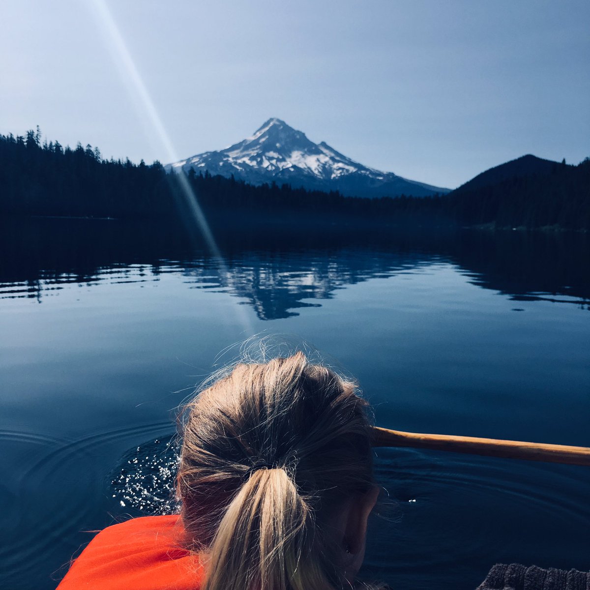 Dan the Paul tweet media