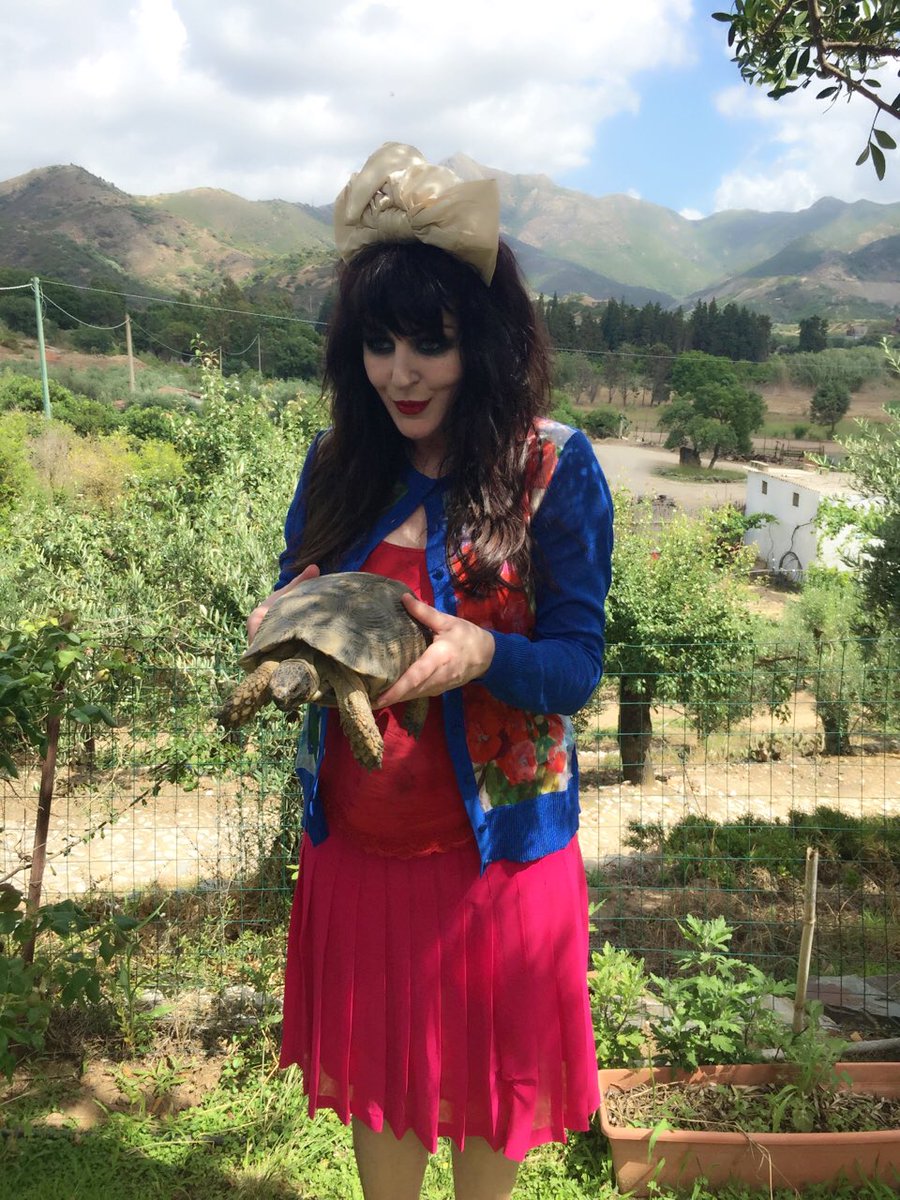 AlannahHill6's tweet photo. @curtisbrownaus @janeharperautho Have I won ANYTHING yet loves?? ANYTHING?? A turtle? I’d even be thrilled with a turtle .....!!! ❌🏆🏆🏆 https://t.co/XJqEaLDPDP