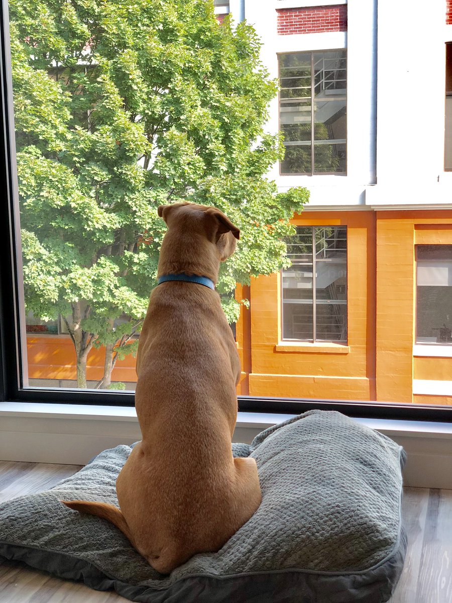“OMG Dolly will I’ve these floor to ceiling windows.”
#millennialparents