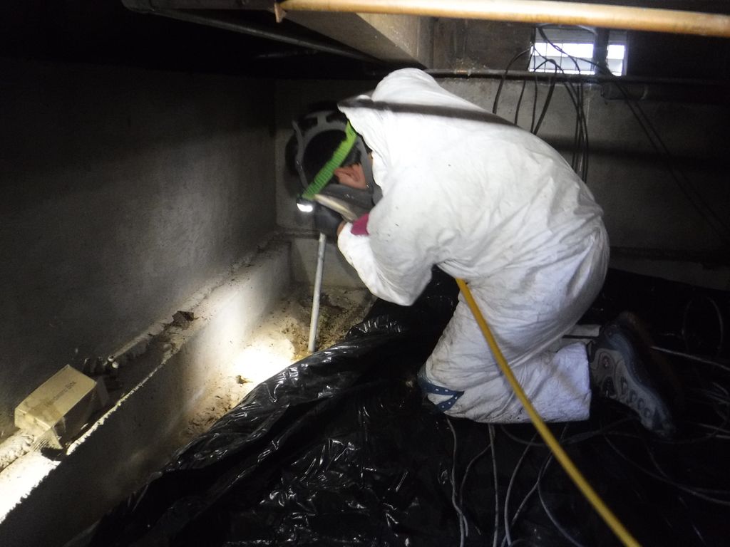 Celtic_Pest's tweet photo. Treating for termites is no joke.
#CelticPest #PestControl https://t.co/5MKXFmMCUU
