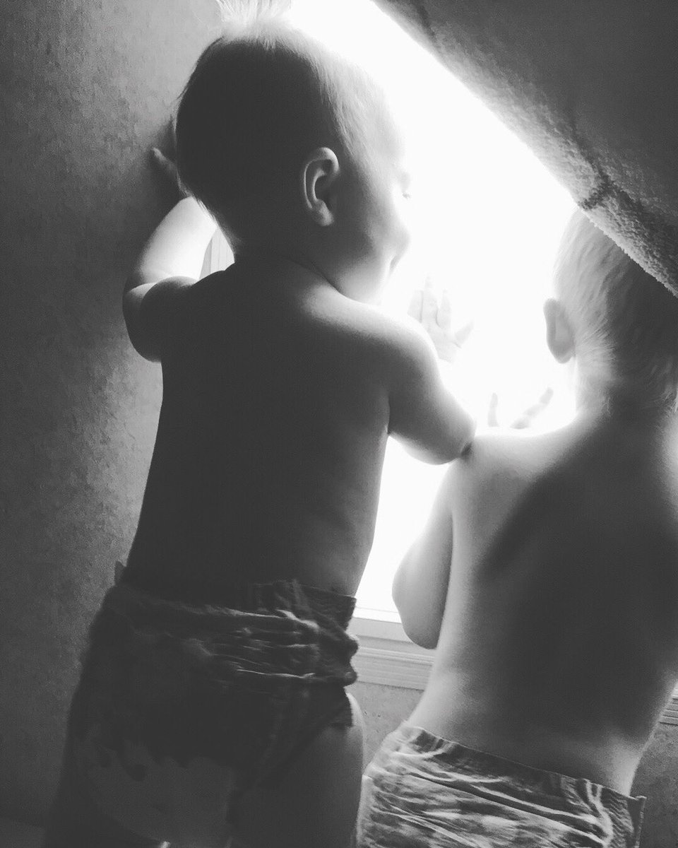 DMCurtis_'s tweet photo. A little window watching after nap time the other day 😍💓💓 https://t.co/CQ8Kb9kJII