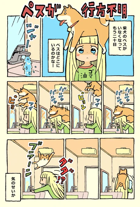 朝から柴犬漫画 
