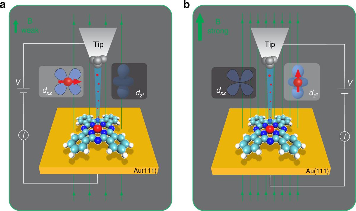 BlackPhysicists's tweet image. Tunable giant magnetoresistance in a single-molecule junction j.mp/31tks0o