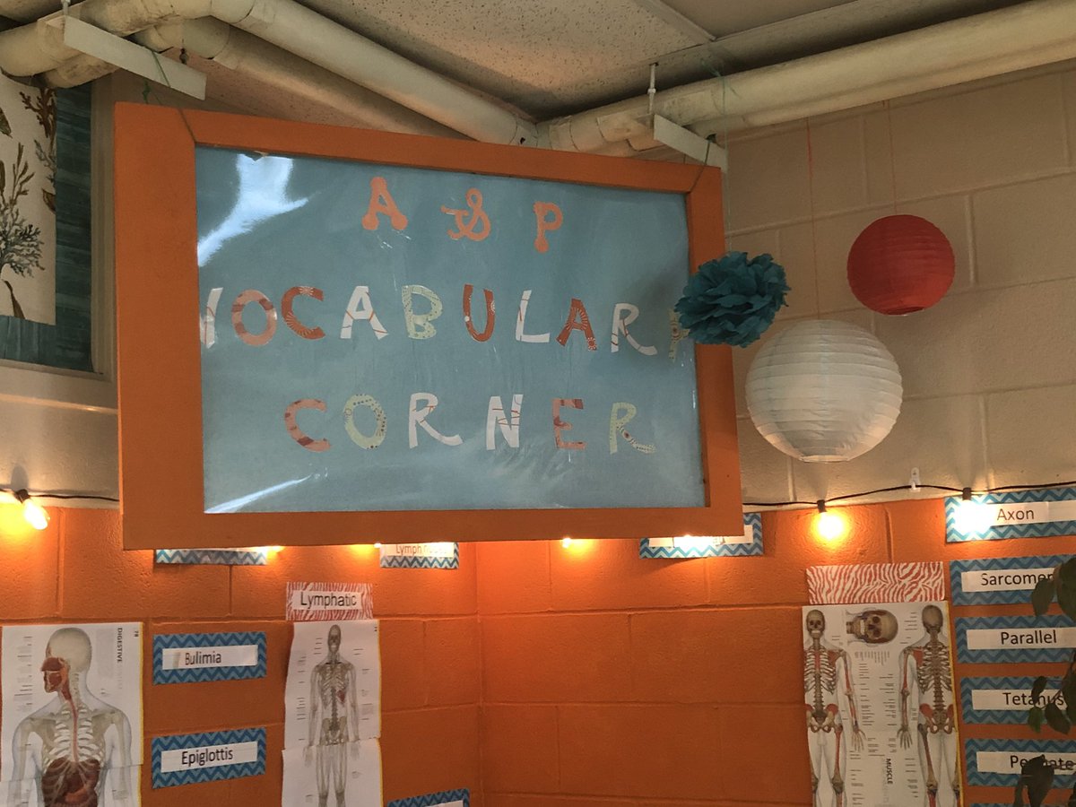 Tiger Weekly ShoutOut!

I’d like to shout out one amazing teacher on my 300/400 hall!  She did an amazing job on decorating her room for her Anatomy and Physiology students at Thee Jim Hill High School.  Take a bow, Ms. Rader!  #YouRock