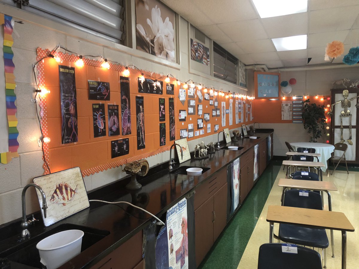 Urban_Principal's tweet photo. Tiger Weekly ShoutOut!

I’d like to shout out one amazing teacher on my 300/400 hall!  She did an amazing job on decorating her room for her Anatomy and Physiology students at Thee Jim Hill High School.  Take a bow, Ms. Rader!  #YouRock https://t.co/tJKdt97119