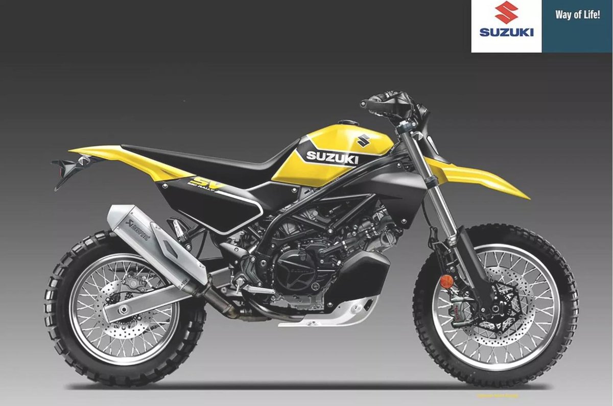 suzuki scrambler 2019