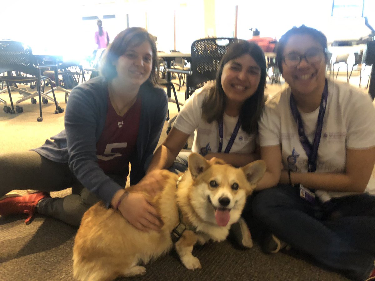 AIBNatUQ's tweet photo. Sometimes at a #Hackathon you need to hack, other times you need to pat #stemcellhack #dog #dogsofUQ #UQ https://t.co/ZVFDpwit7O