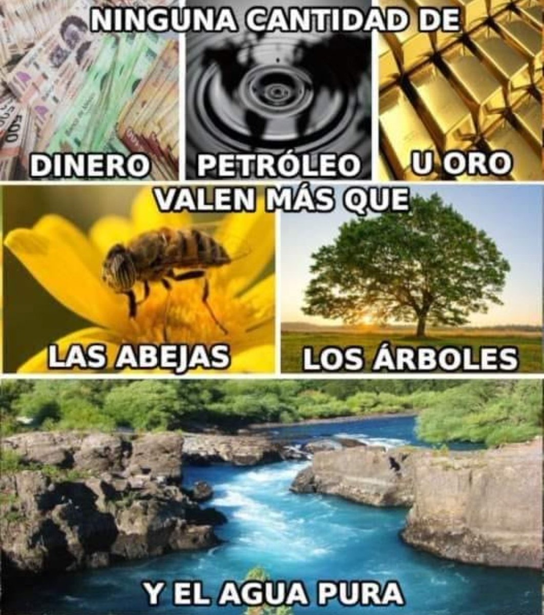 CataAlmaSax's tweet photo. #concienciaSanzera #colombia @AlejandroSanz @ASanz_Colombia #FCSC1 https://t.co/1YrlfiEOci https://t.co/C8VcZNL4MS