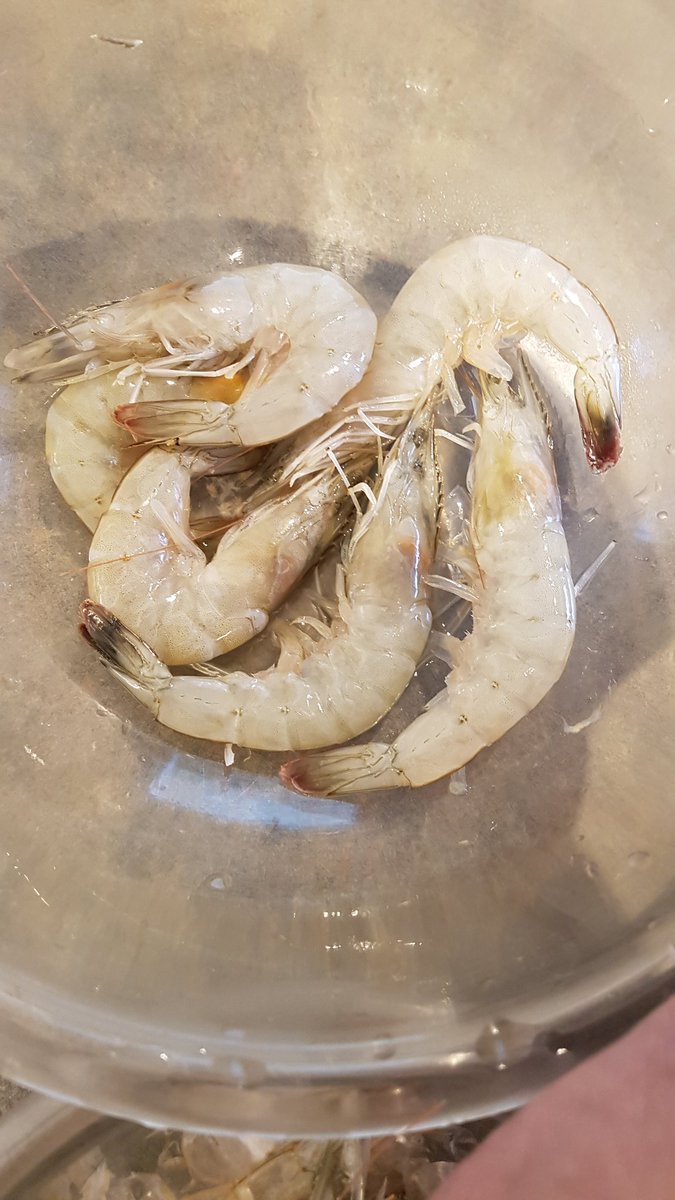 Finally have the time to cook my #alberta raised shrimp from #waterfordfarms.  Very excited