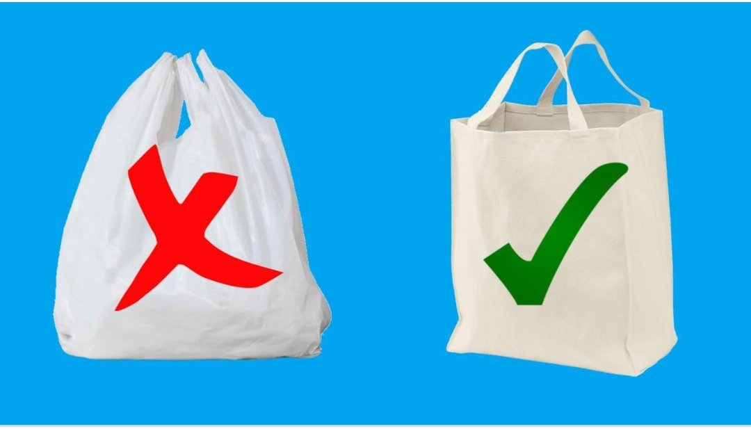 CataAlmaSax's tweet photo. #concienciaSanzera  Tal vez no lo sepas pero es mucho más útil llevar al supermercado bolsas, bolsos o carteras de tela para guardar tus compras, tienen mayor capacidad y fortaleza. @AlejandroSanz @ASanz_Colombia #Colombia #FCSC1 https://t.co/izA1NPGrRK