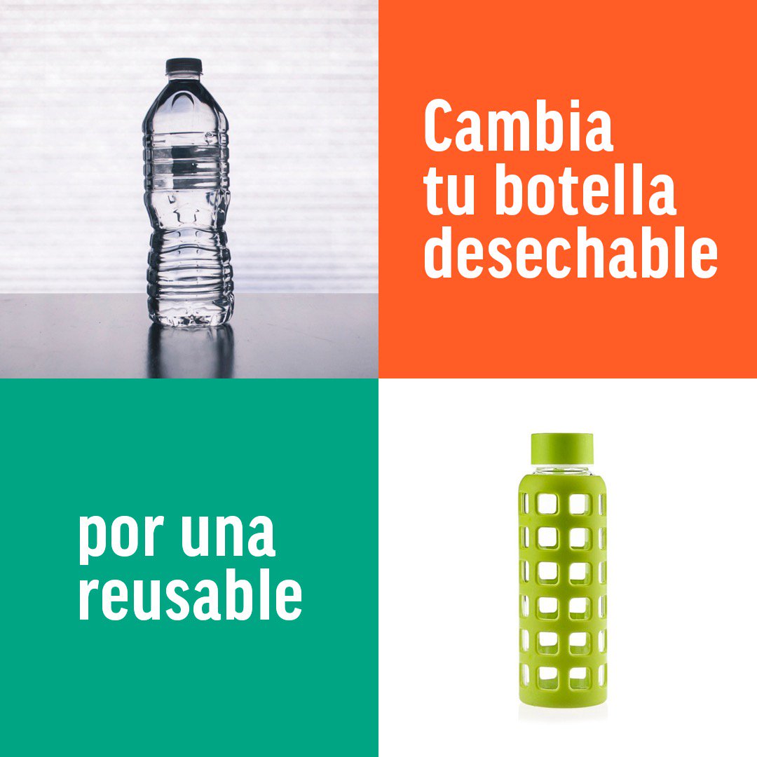 CataAlmaSax's tweet photo. #concienciaSanzera  Opta por usar botellas de vidrio en vez de las de plástico.Las podemos reutilizar para hacer maceteros, portalápices o cualquier manualidad que despierte nuestra creatividad... @AlejandroSanz @ASanz_Colombia #Colombia #FCSC1 https://t.co/ORnNUbW4F9