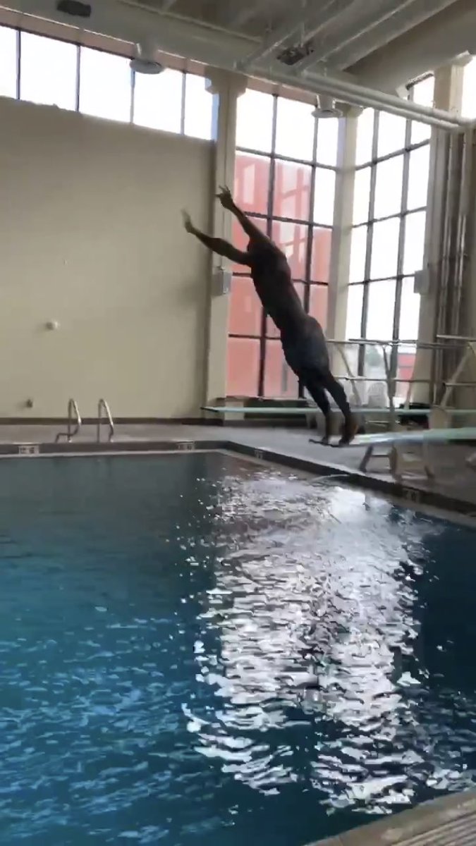 shhswim's tweet photo. Von Miller getting ready for the NFL season on the Smoky Hill diving boards. https://t.co/Vwcnrr3iBf