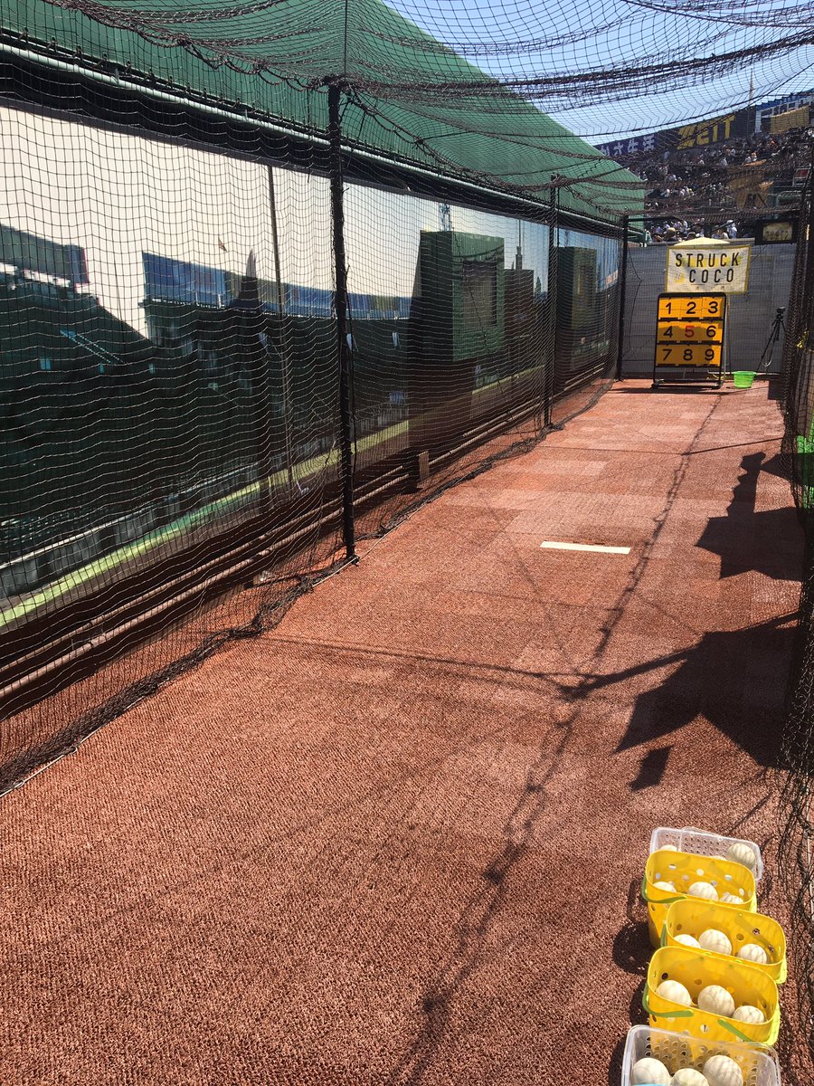 木製ミニチュアバット⚾️🌟】 甲子園球場外野2階のCoCoパークでは